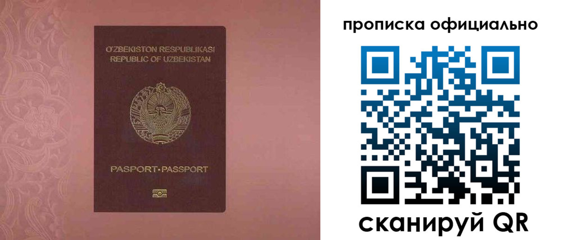 прописка гарантия в Елабуге